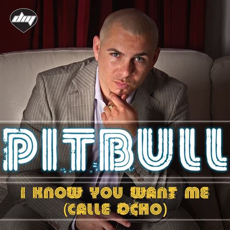 i know you want me|Pitbull .